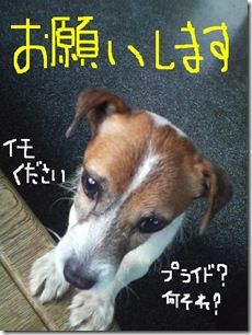 今日カズ080903　6