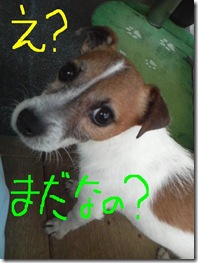 今日カズ080903　7