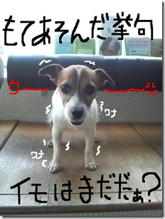 今日カズ080903　8