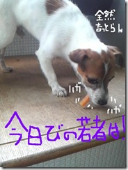 今日カズ080903　10