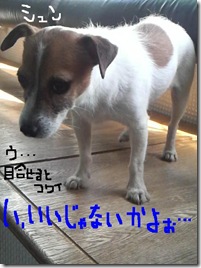 今日カズ080903　11