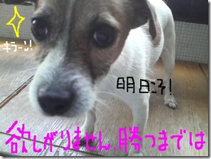 今日カズ080903　12