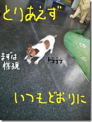 今日カズ080905　2