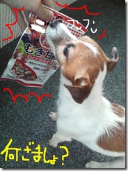 今日カズ080905　3
