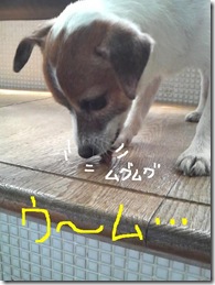 今日カズ080905　5
