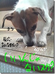 今日カズ080905　6