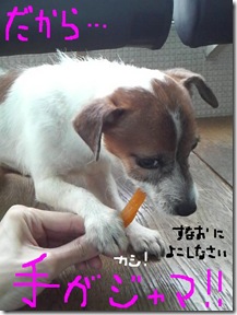 今日カズ080905　7