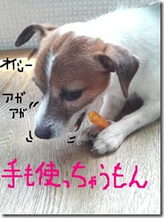 今日カズ080905　8