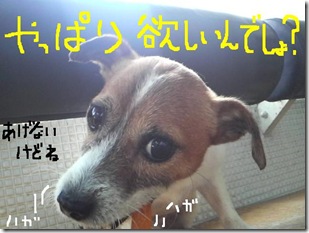 今日カズ080905　9