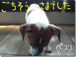 今日カズ080905　10
