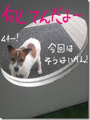 今日カズ080906　1