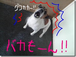 今日カズ080906　3