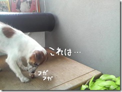今日カズ080906　6