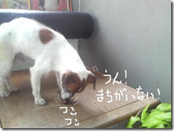 今日カズ080906　7
