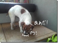 今日カズ080906　8