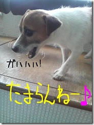 今日カズ080906　9