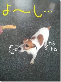 今日カズ080906　10