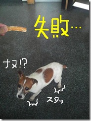 今日カズ080906　12