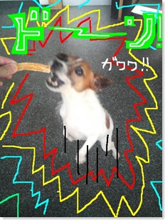今日カズ080906　14