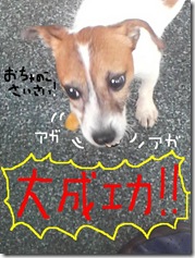 今日カズ080906　15