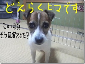 今日カズ080908　1