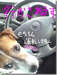 今日カズ080908　5