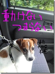 今日カズ080908　6