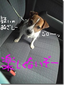 今日カズ080908　7