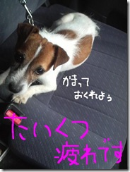 今日カズ080908　8