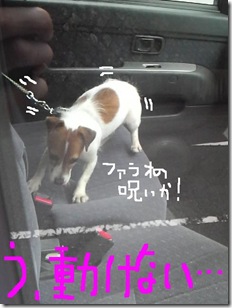 今日カズ080908　10