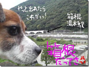今日カズ080908　11