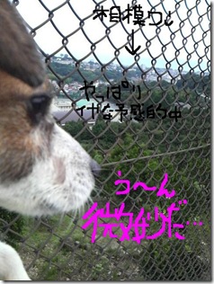 今日カズ080908　12
