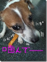 今日カズ080908　14