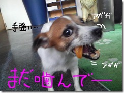 今日カズ080908　15