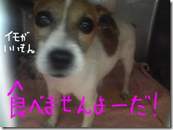今日カズ080909　2