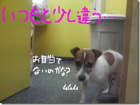 今日カズ080909　3