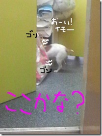 今日カズ080909　4