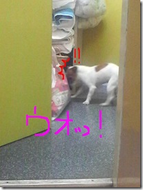 今日カズ080909　5
