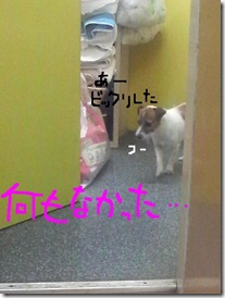 今日カズ080909　6