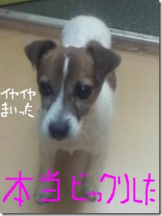 今日カズ080909　7