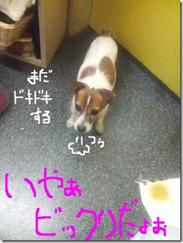 今日カズ080909　8