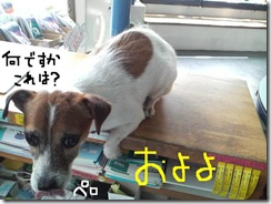 今日カズ080910　1