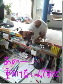 今日カズ080910　2