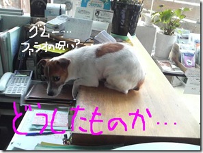 今日カズ080910　3
