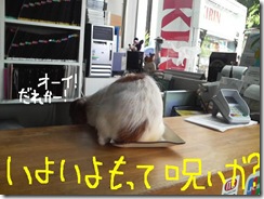 今日カズ080910　4