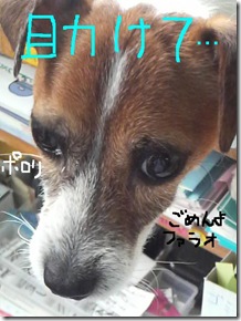 今日カズ080910　5