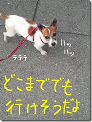 今日カズ080910　7