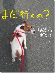 今日カズ080910　8