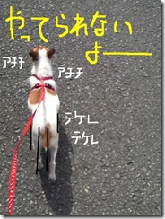 今日カズ080910　9
