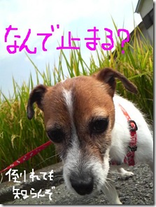 今日カズ080910　10